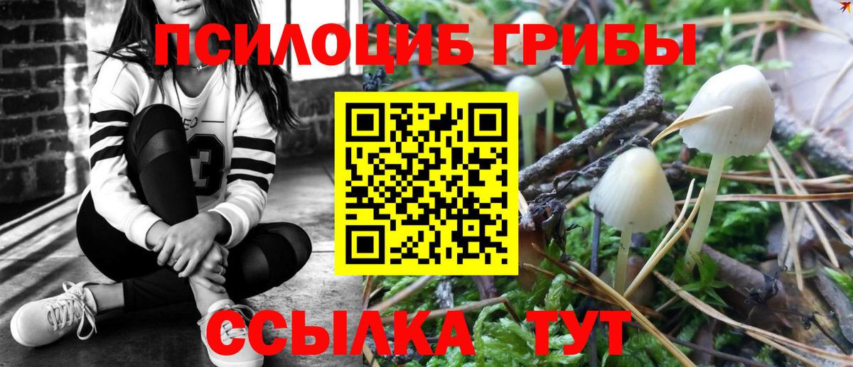 Благовещенск  Псилоцибиновые грибы прущие грибы  Галлюциногенные грибы мицелий  Вход с VPN 